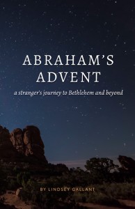 AbrahamsAdventCover